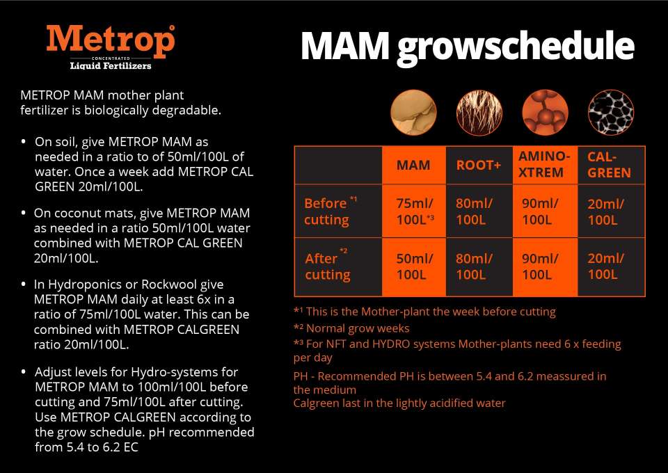 motherplant grow outline